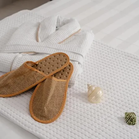 Naxos Superior Villa Kastrákion